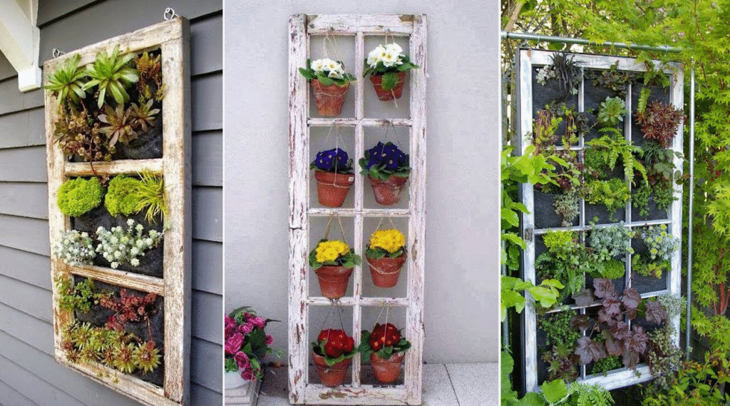 Three salvaged vintage window frames outdoors, repurposed as vertical garden displays with terracotta pots, succulents, and lush green plants filling each window pane