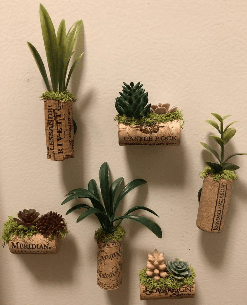 Small wall mounted planters made from wine corks holding tiny succulents and greenery with moss